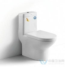 保持清爽的卫浴间 马桶洁厕剂的选购与养护攻略